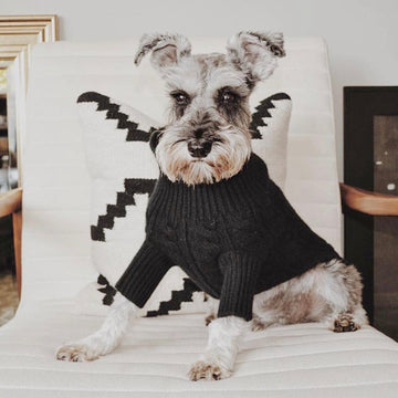 Cashmere Dog Sweaters, LUXURY DOG APPAREL