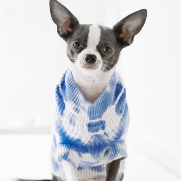 Cashmere Dog Sweaters